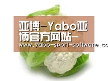 产品名称九