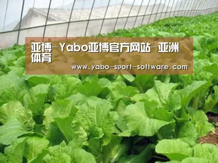 种植基地一