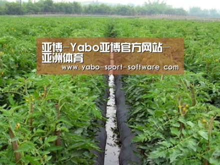 种植基地三