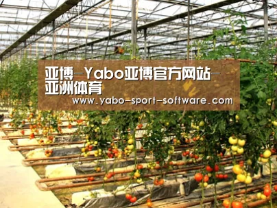 种植基地二(图1)