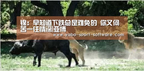 镍:早知道下跌总是难免的 你又何苦一往情深|亚博(图2) 亚博体育官网